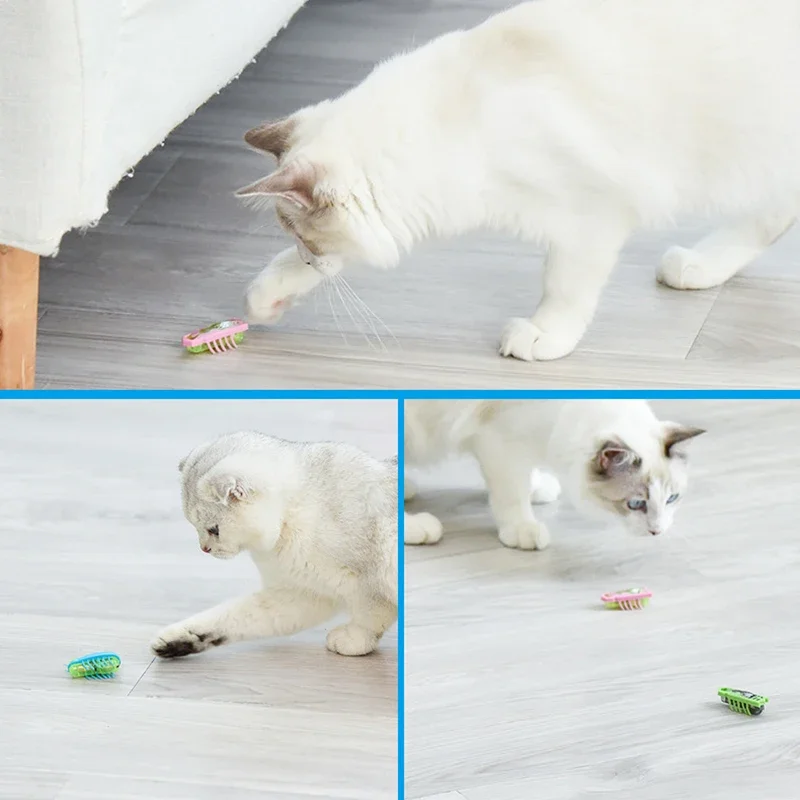 Electric Bug Toy 6