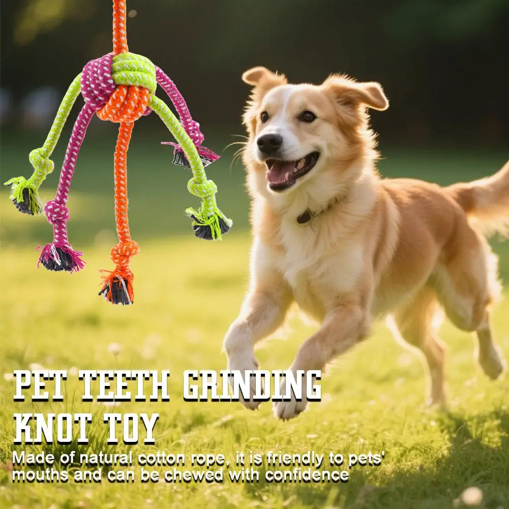 Langlebiges Bissfestes Interaktives Knotenspielzeug für Hunde - Kaubares Seil mit Grünen & Orangen Fransen, Verspieltes Design, Hundespielzeug