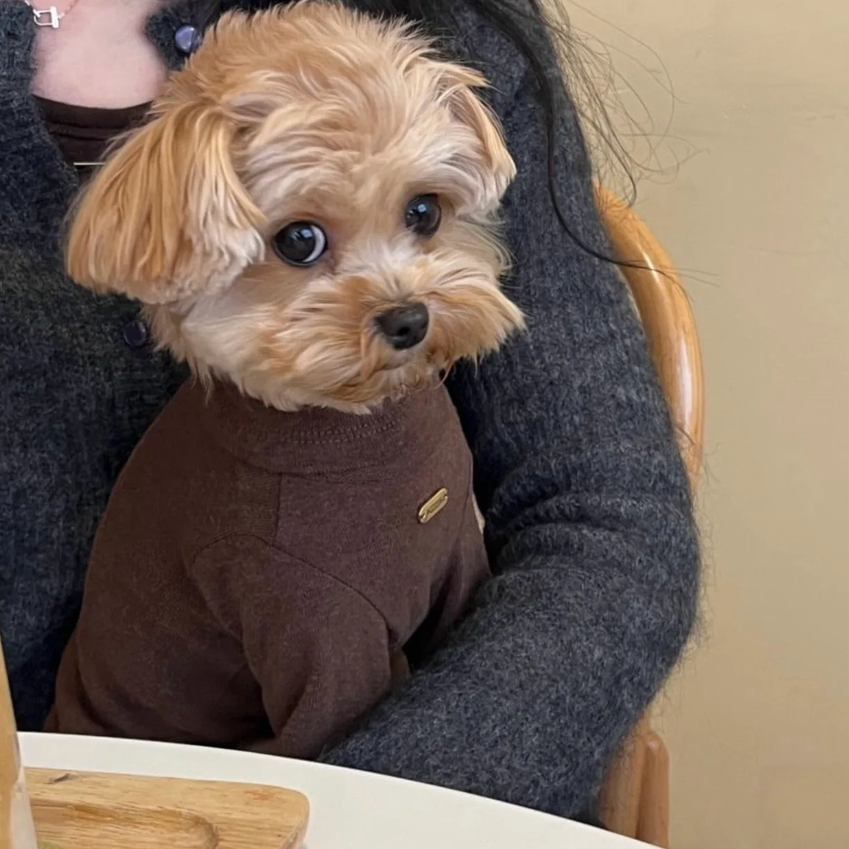 Soft Pet Base Bottoming Shirt, Solid Color Vest for Small Dogs & Cats, Fashionable Two-Legged Winter Clothes for Bichon