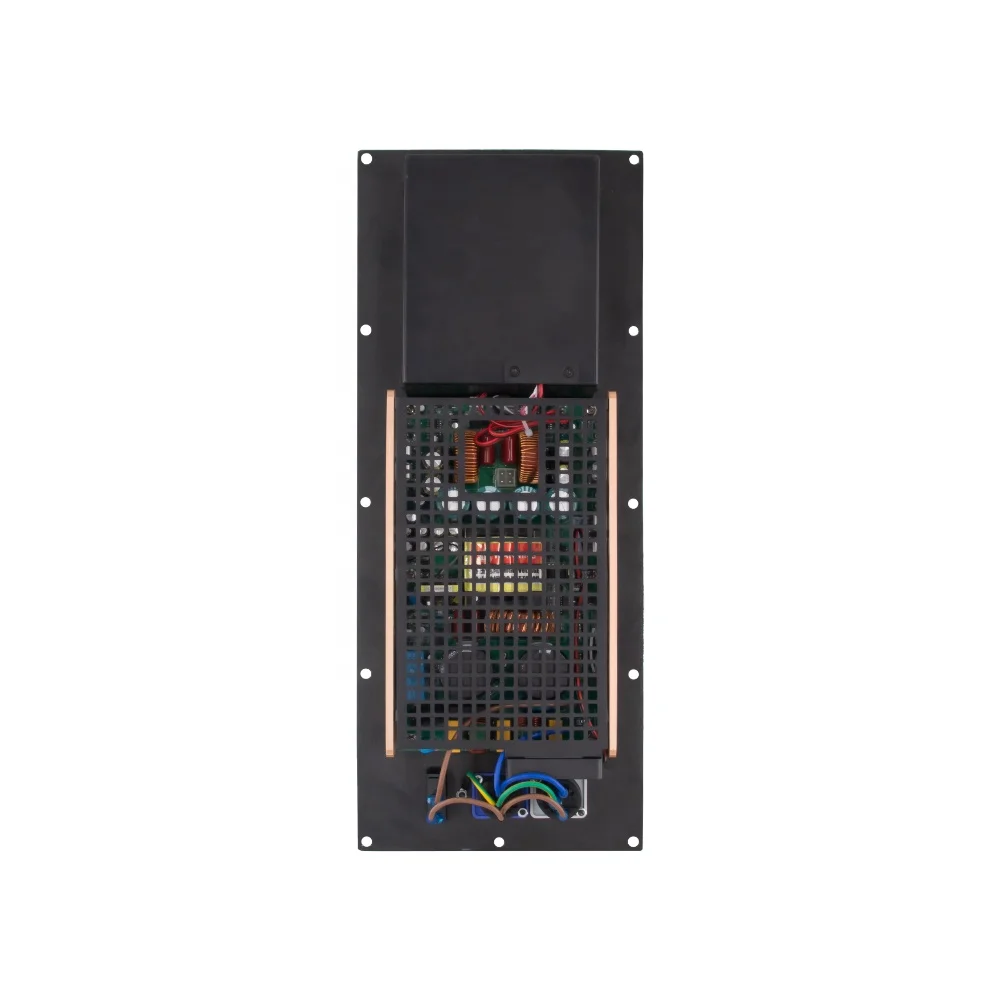 Lihui-placa amplificadora de potencia de 2 canales, dispositivo DSP de 8 ohmios y 1000W, para uso doméstico, pesa alrededor de 3kg