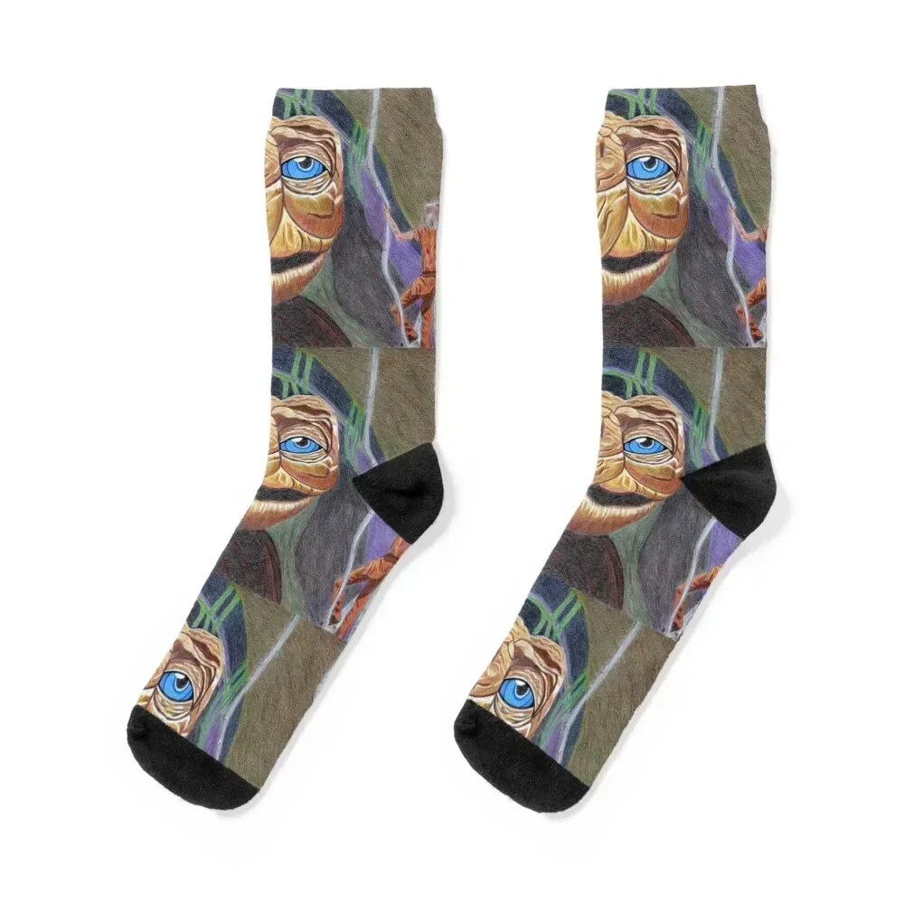 

The endless story. Morla and Atreyu. The Neverending Story. Socks designer Argentina floor custom Boy Child Socks Women's