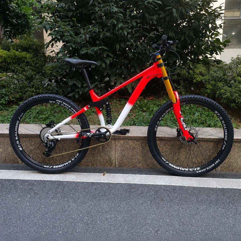 Kalosse 7 Bearings Hubs Hydraulic Brakes Soft-Tail Alloy Frame
