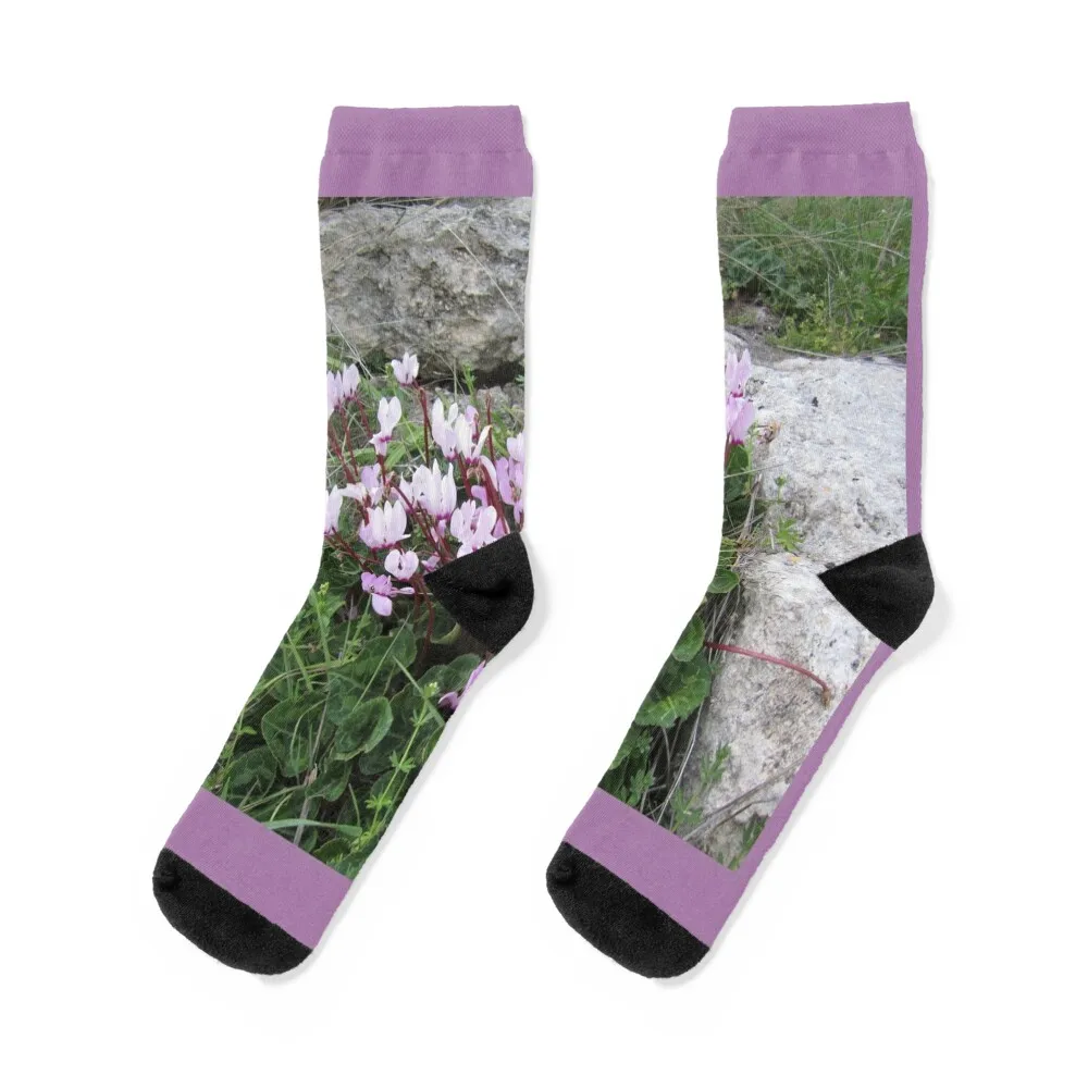

Wild Cyclamen Socks winter gifts Christmas funny gift men cotton high quality Ladies Socks Men's