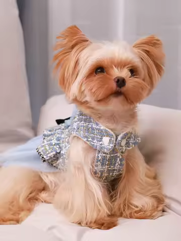 Pet clothing for spring &amp; autumn, teddy bear, Schnauzer, Yorkshire, puppy clothing, dog princess dress, suitable for fashionable