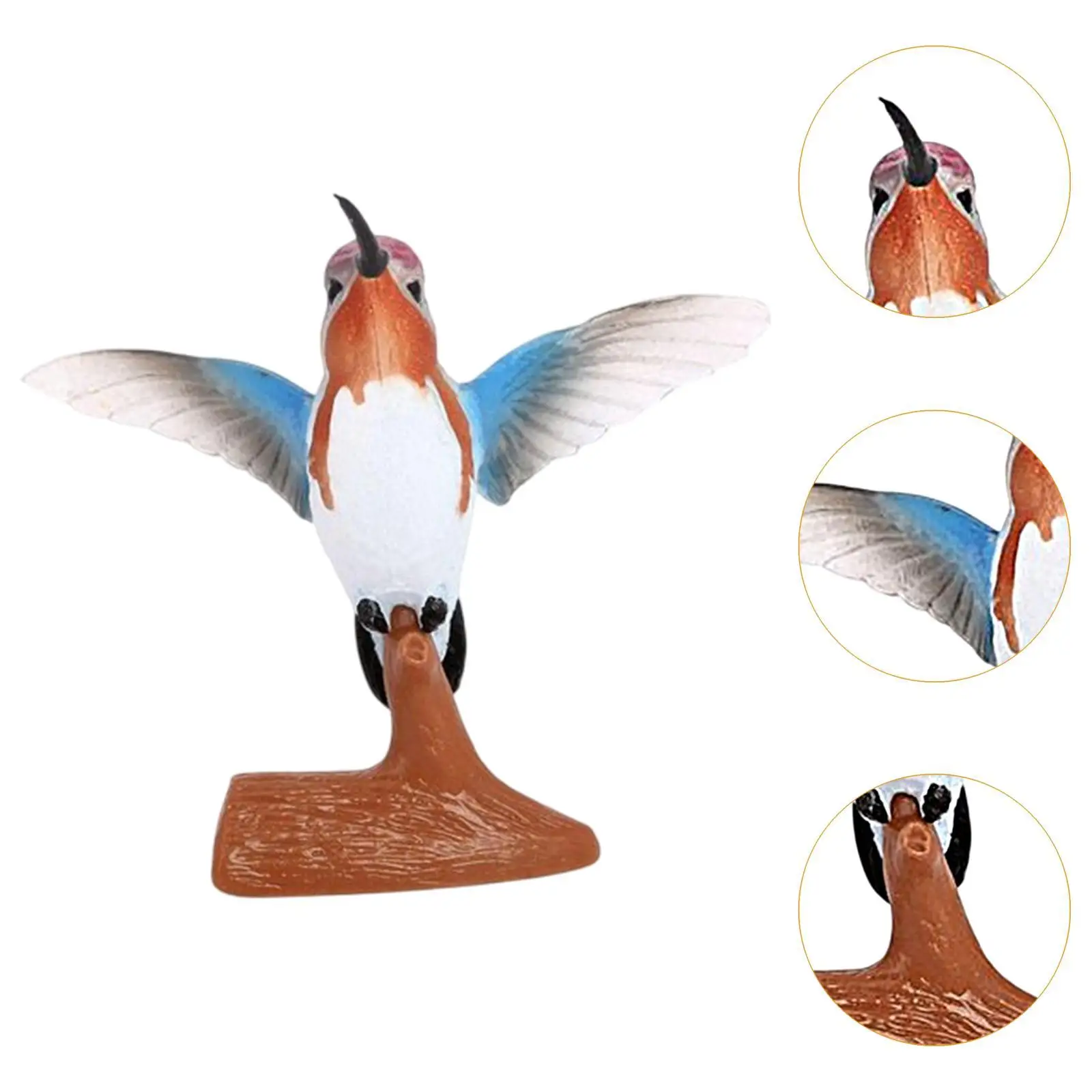 Hummingbird Bird Figure Toy Realistic PVC Model Animal Sculpture Educational Kids Science Prop Desktop Decoration Miniature