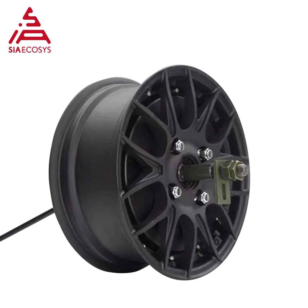 Leistungsstarker QS-Motor der neuen Version, 5 kW, 260 V4, bürstenloser DC-Einwellen-E-Auto-In-Radnabenmotor