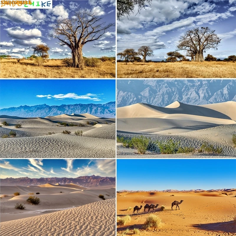 

Vast Sand Dunes Blazing Sun Desert Photography Backdrops Sunset Sky Rocks Safari Landscape Dried Tree Birthday Background DS-07