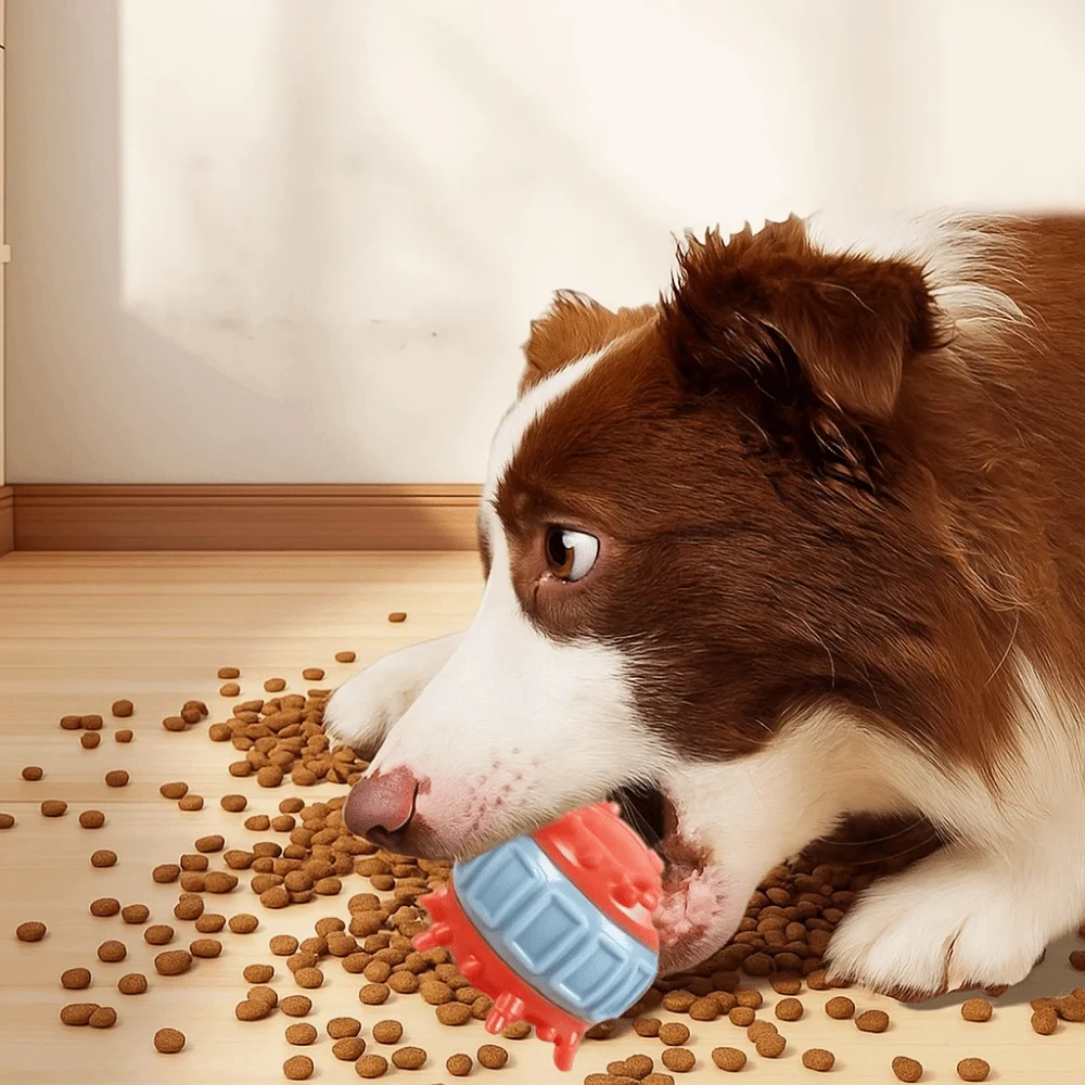 

4 Pcs/set Bite Resistant Interactive Dog Toys Wear Resistant Colorful Dog Food Dispensing Toy TPR Pet Leakage Ball Training