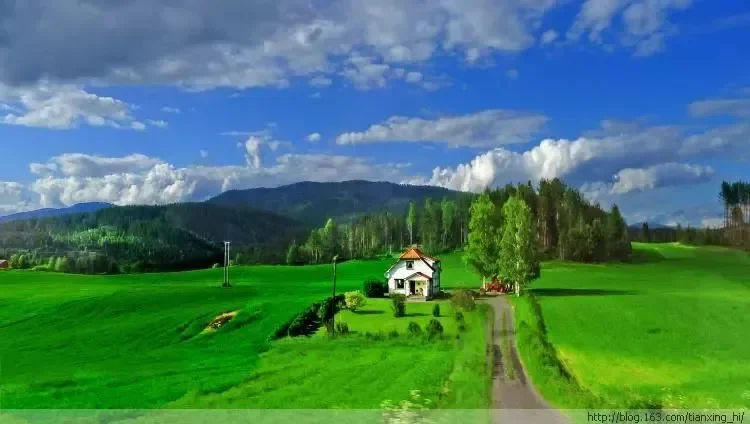 

Для Nissan Nissan TIIDA 2005-2009 черный под защитной пластиной двигателя, брызговик, крышка крыла, защита от брызговика