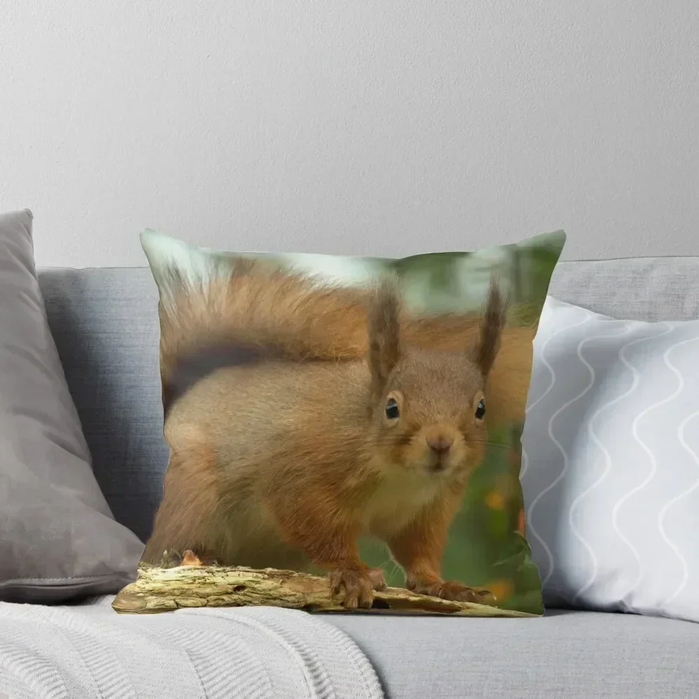 Red Squirrel Throw Pillow Pillowcases Bed Cushions Pillowcases For Pillows pillow