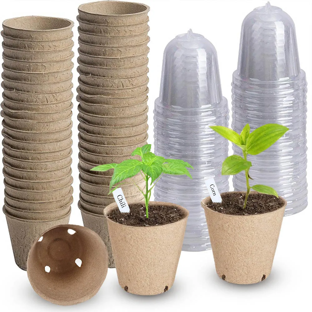 

8cm Seed Starter Environmentally Friendly Non-toxic Biodegradable Peat POTS，Seedling Planting POTS with Humidity Domes,Pulp Cup