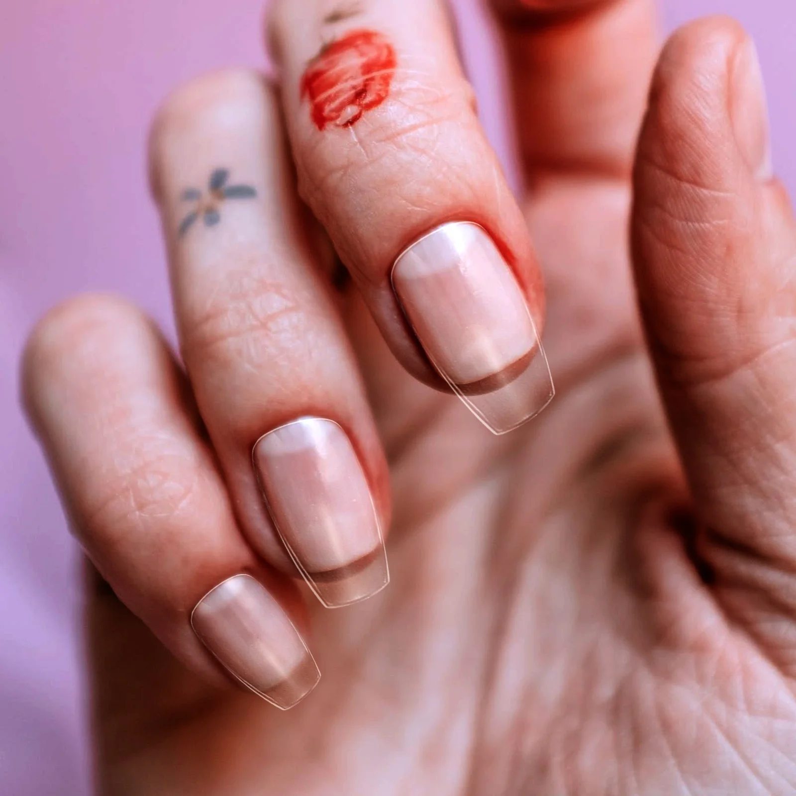 

240 Pcs Fake Nails Short False Artificial for Women Glossy Tips Diy Wearing Decor