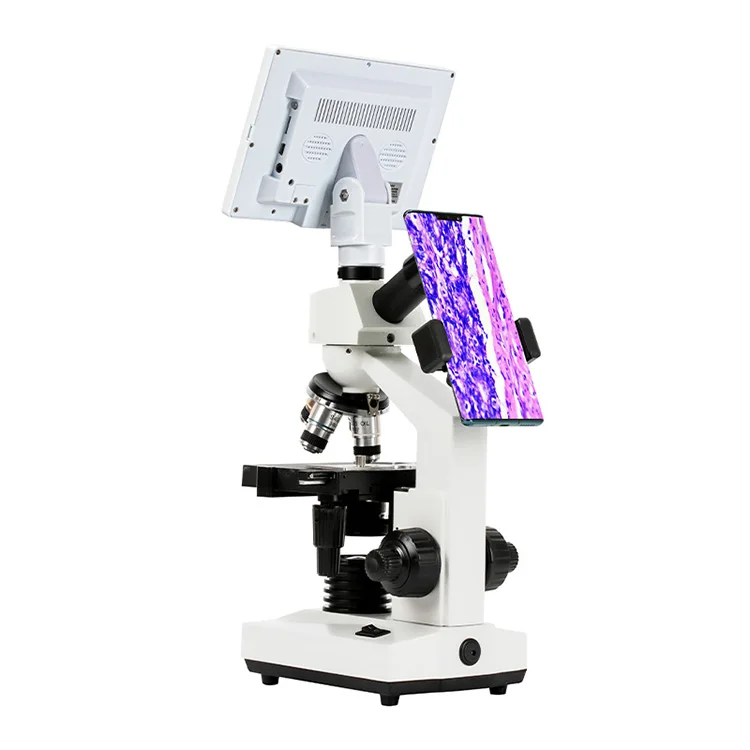 Electron Binocular Microscope Instruments University Basic Microscope Equipment with Display
