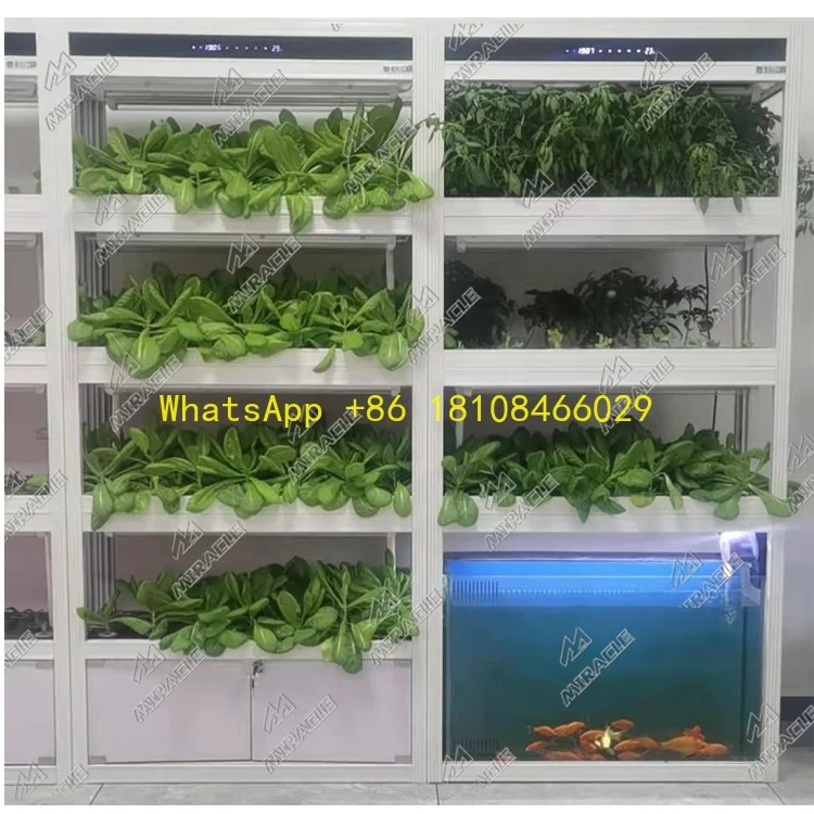 

Planting Machine Lettuce Hydroponic System Indoor Strawberry Planting Machine Hydroponic Grow System