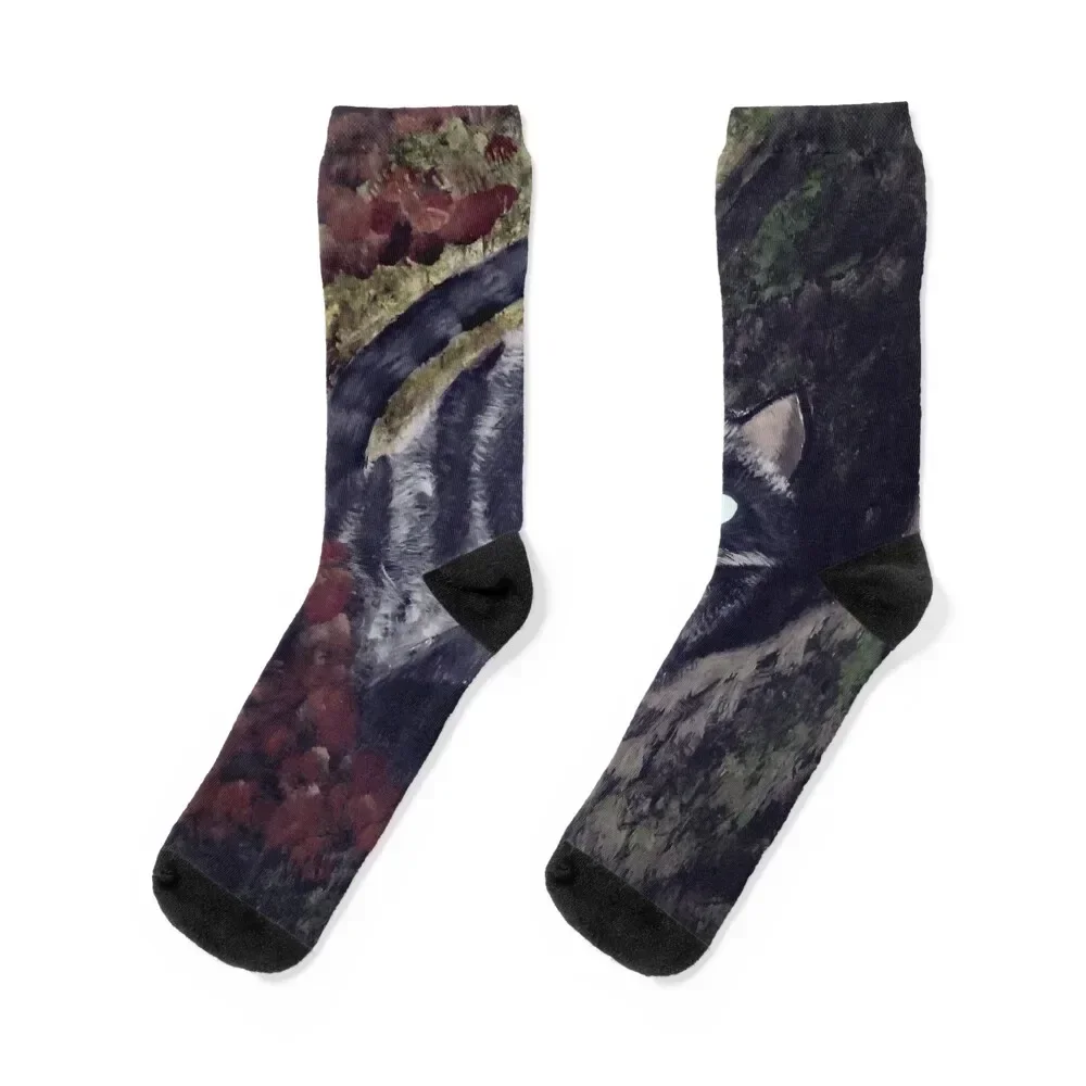 

Catcoon Socks hip hop cycling gift basketball Designer Man Socks Women's