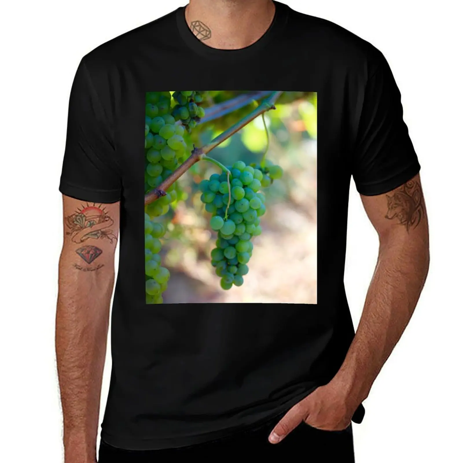 

Sauvignon Blanc Grapes T-Shirt affliction shirts Funny t-shirt Clothing luxury clothes men