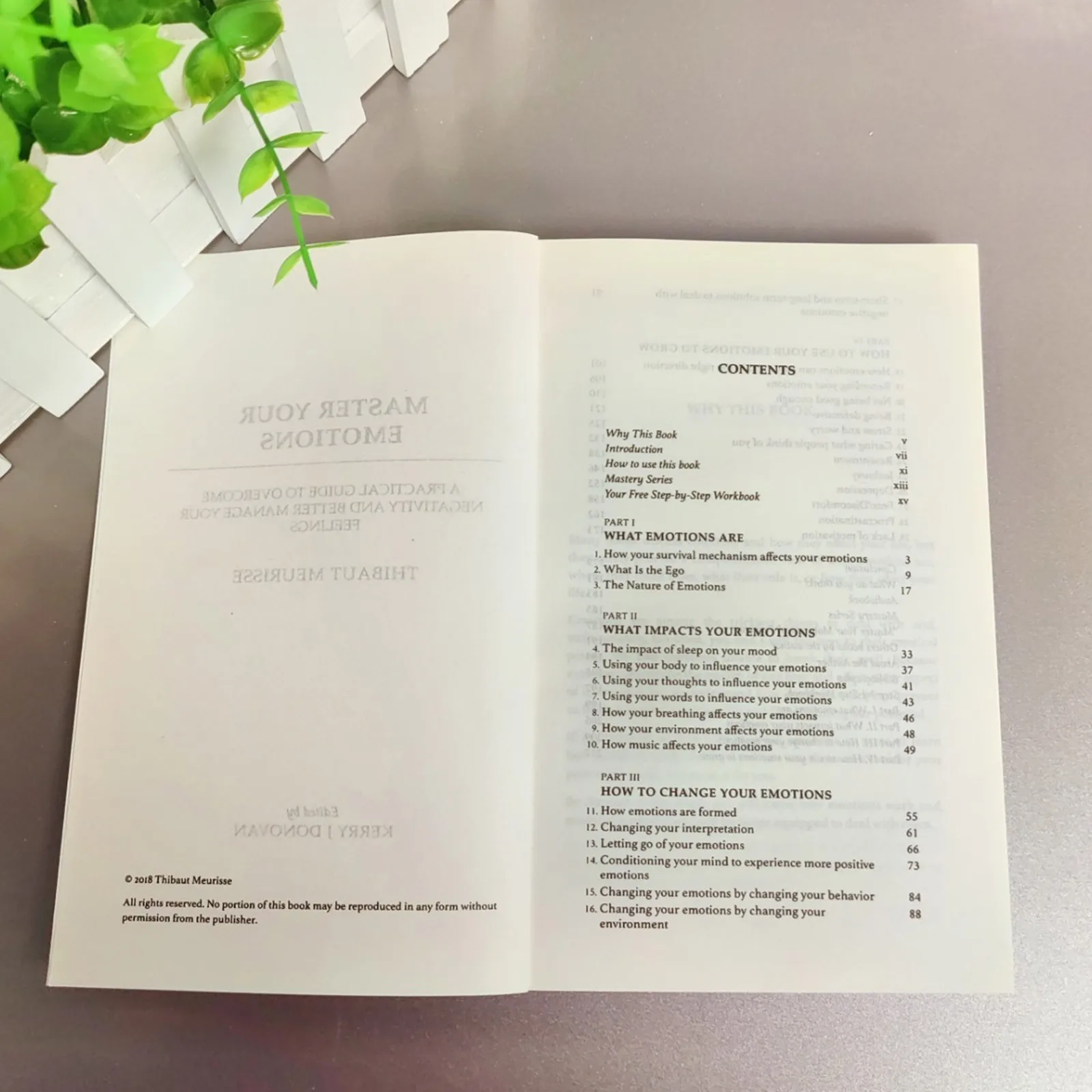 الإنجليزية الحديثة الإدارة العاطفية دليل الكتاب المادي إتقان عواطفك: دليل عملي لإتقان عواطفك
