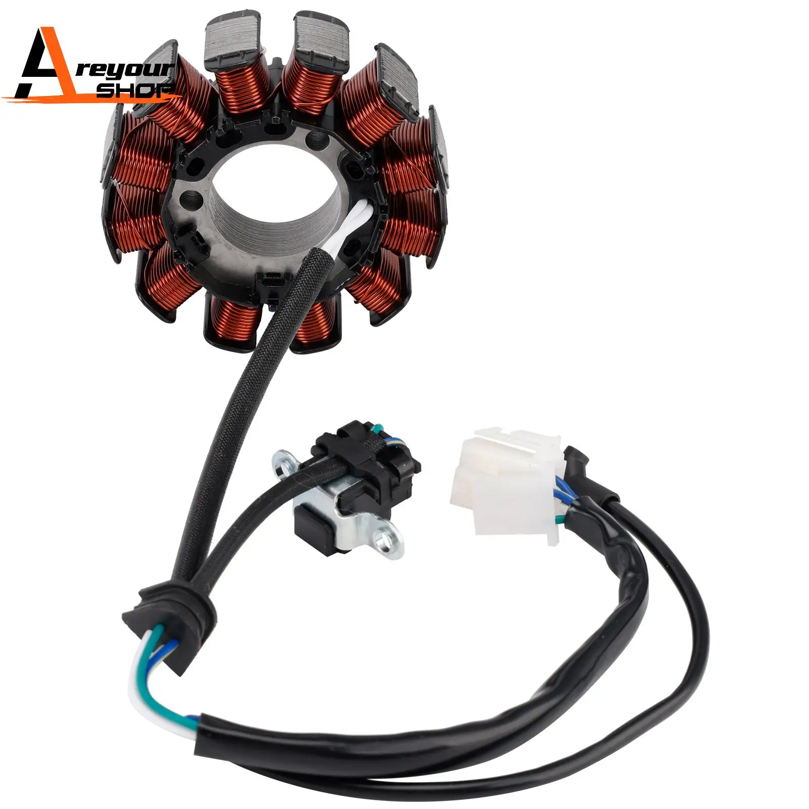 Areyourshop Estator de Generador para Yamaha Fazer 25 FZS 25 FZ25 250cc - B97-H1410-00-00