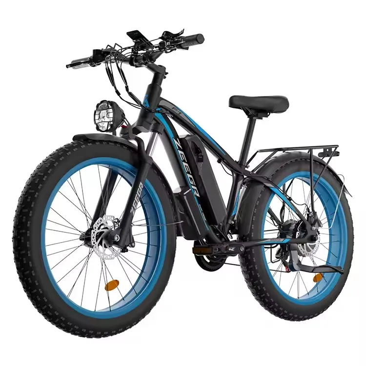 

Motor 48V 23AH 1000W Fat Tire Hydraulic Brake Soft Tail Frame Hydraulic Big Front Fork Ebike