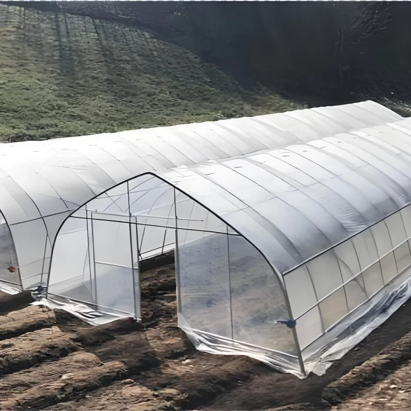 Low Cost Small Agricultural PE Film Tunnel Greenhouse Portable Single-Span Nursery Vegetable Serre Agricole Invernadero