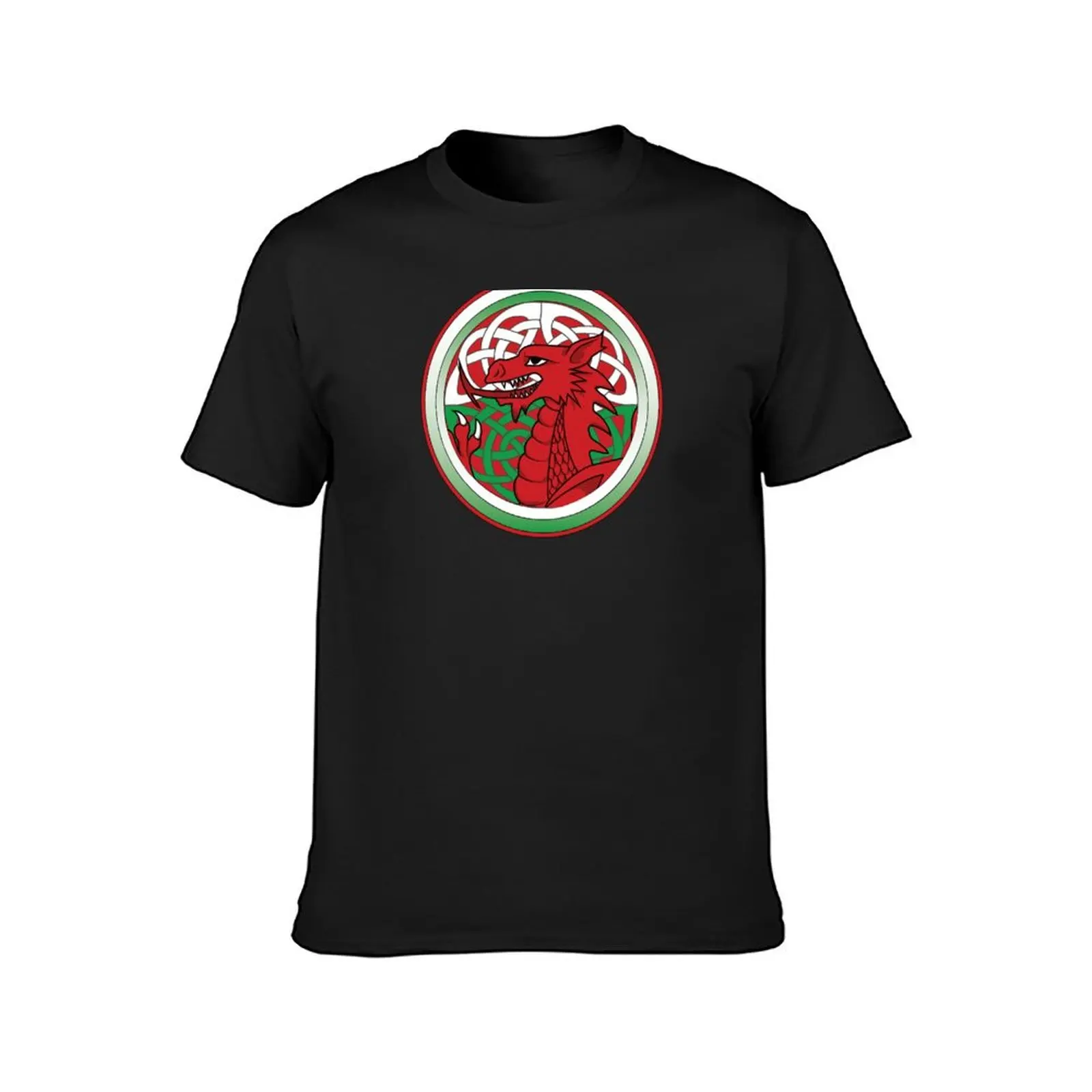 Y Ddraig Goch [Circular] T-Shirt oversizeds boys whites new edition t shirts for men