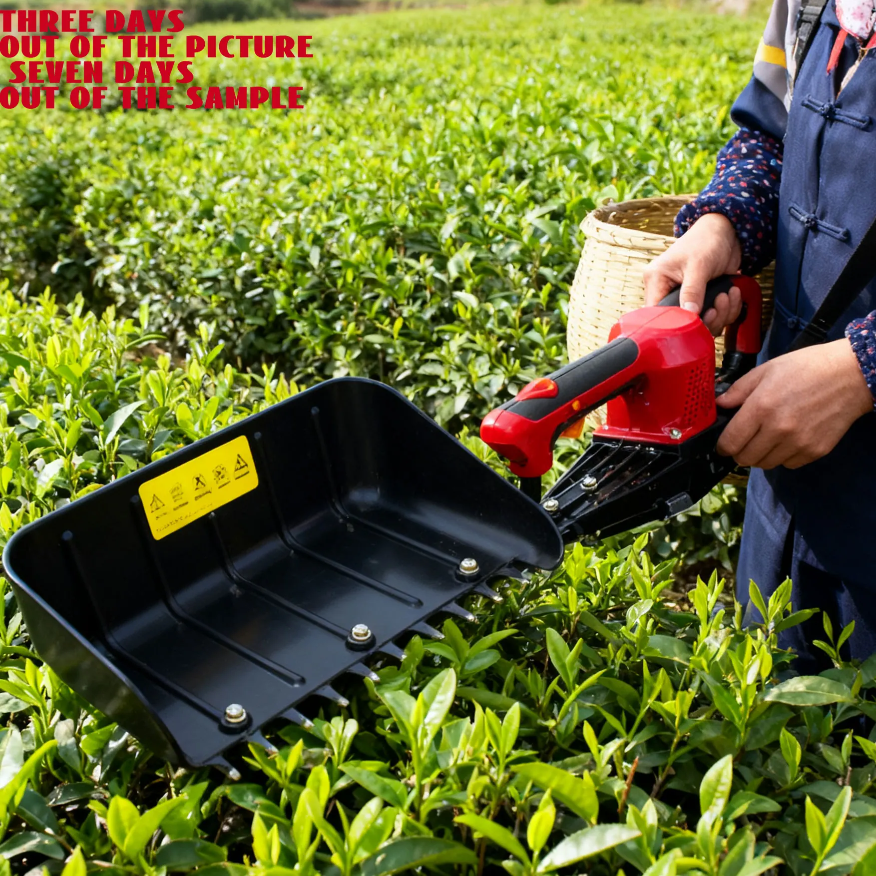 Nplus Labor Saving Professional Tea Leaf Picking Machine Low-Noise Easy Operation Powerful High-Efficiency Tea Harvest