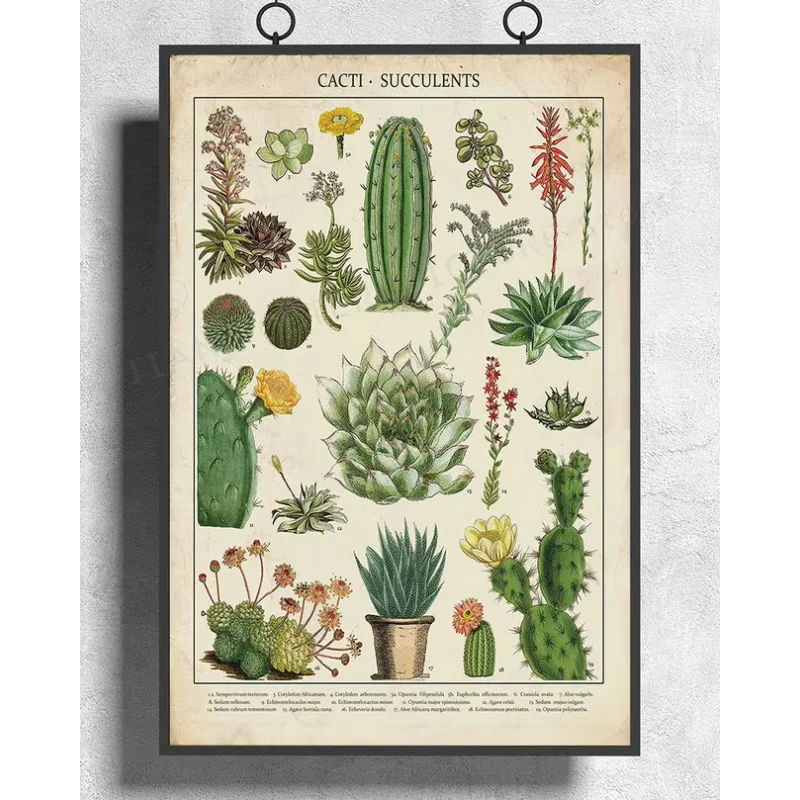 H353 Silk Poster Home Decoration Cacti & Succulents Kitchen Vintage Wall Art Christmas Gift