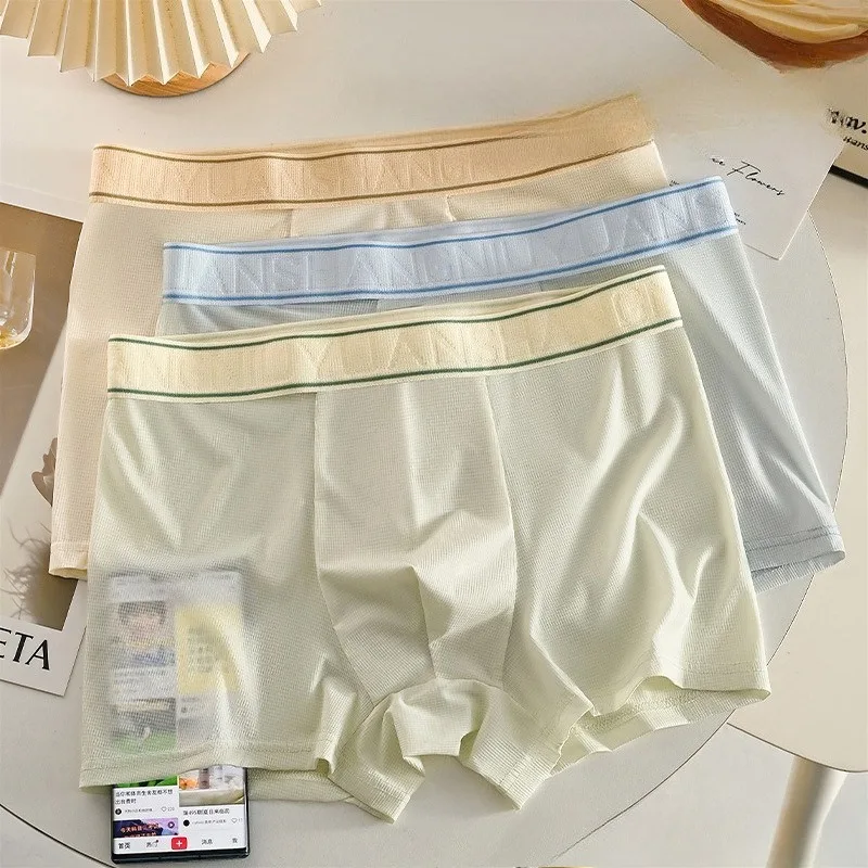 Summer Thin Boxers Men's Ice Silk Underwear Mesh Silky Male Flat Panties Middle Waist Swimsuit Breathable Trendy Youth Shorts