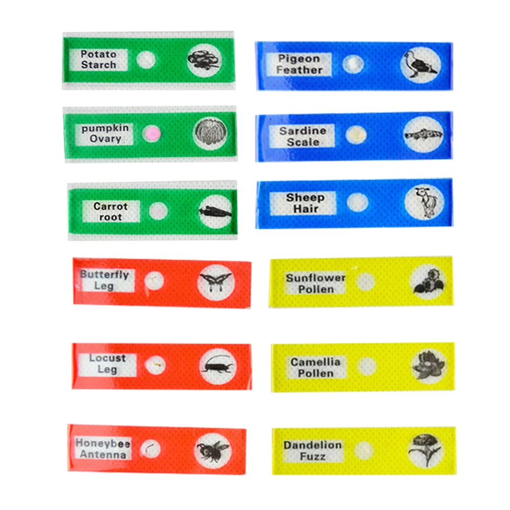 

12 Pcs Plastic Biological Specimen Slides Safe Kids Education Colorful Microscope Samples Botany Entomology Mammology