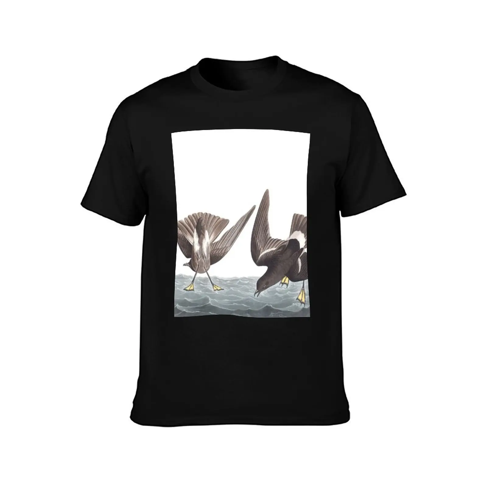 Wilson's Storm-Petrel - John James Audubon T-Shirt Casual Everyday Wear T-Shirt