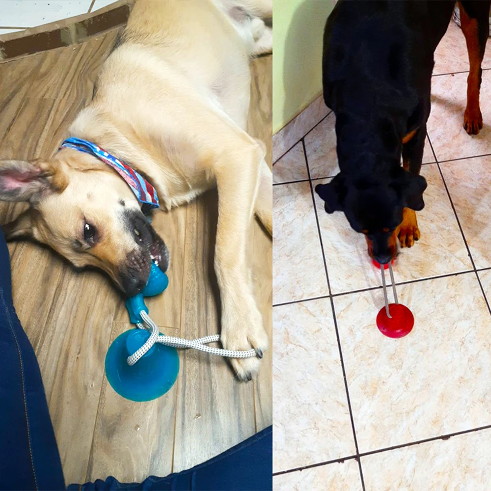 Pet Toys With Suction Cup Dog Push Toy with TPR Ball Pet Tooth Cleaning Chewing Rubber Dog Toys for Small Dogs Rubber Dog Toy
