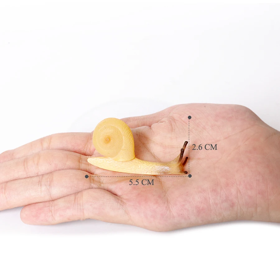 Realistischer Lebenszyklus einer Schnecke, Modellfigur, Schneckenfigur, Partyzubehör, Kuchendeckel, Tischdekoration, Sammlungsspielzeug