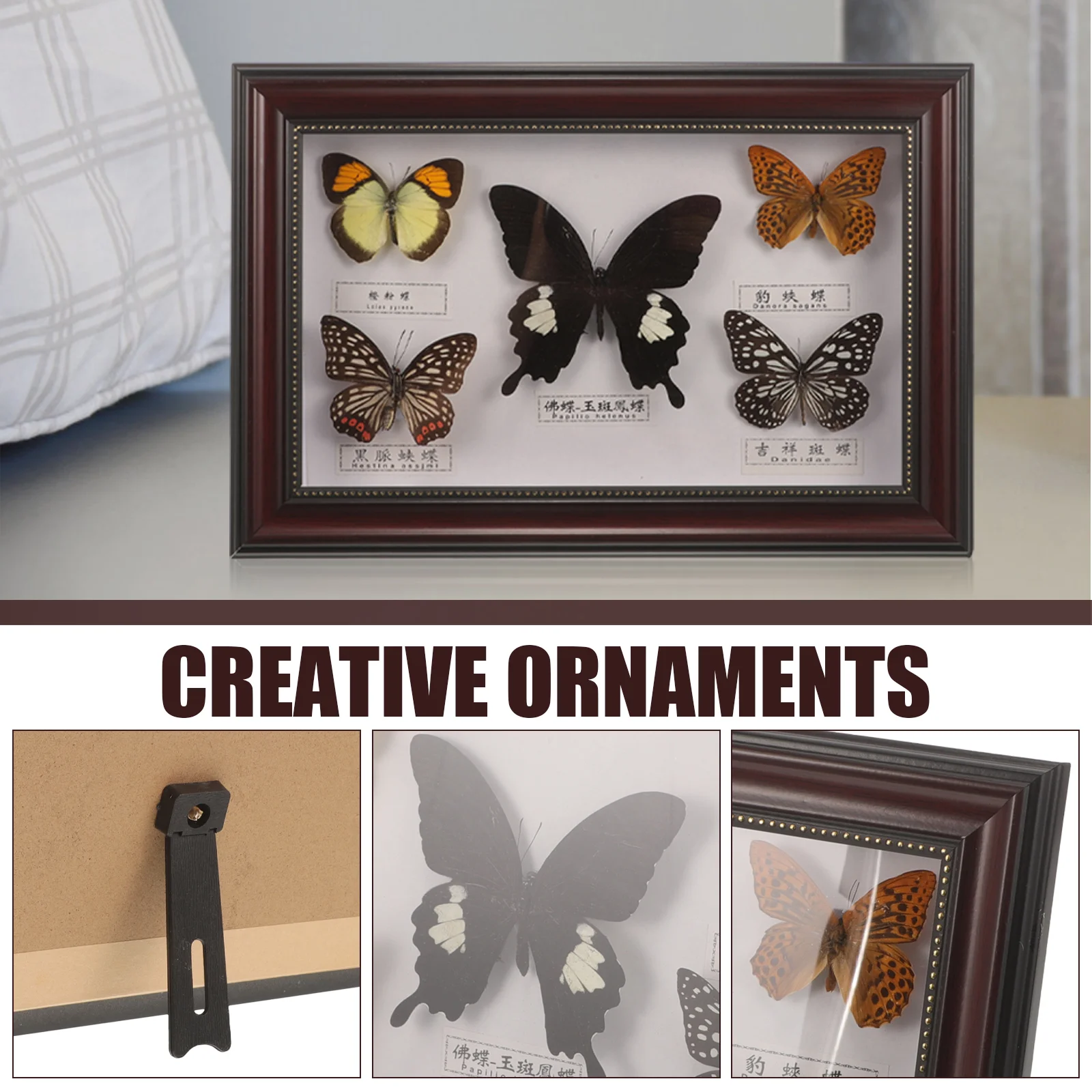 Butterflies Specimen Picture Frame Butterfly Photo Wall Decoration Wooden Display for Hanging