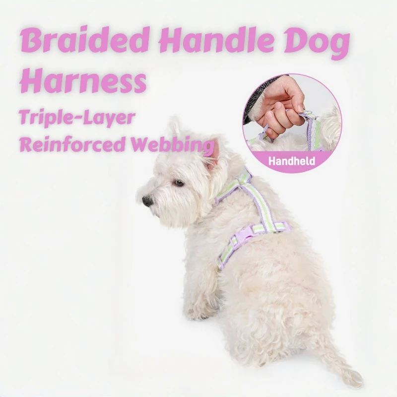 حزام صيفي للكلاب بدون هروب - شبكة تبريد على طراز H مع شرائط عاكسة ولمسات نيون، تصميم خفيف الوزن مقاوم للهروب