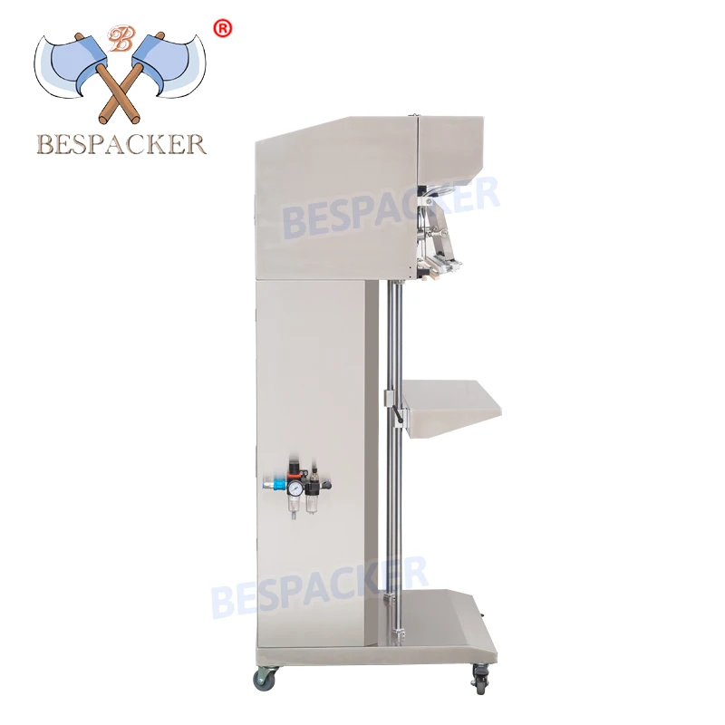 Bespacker VSQ-600LWS Vertikaler Typ Externe bodenstehende Vakuumverpackungsmaschine für trockenes Fischfleisch, externes Vakuumiergerät