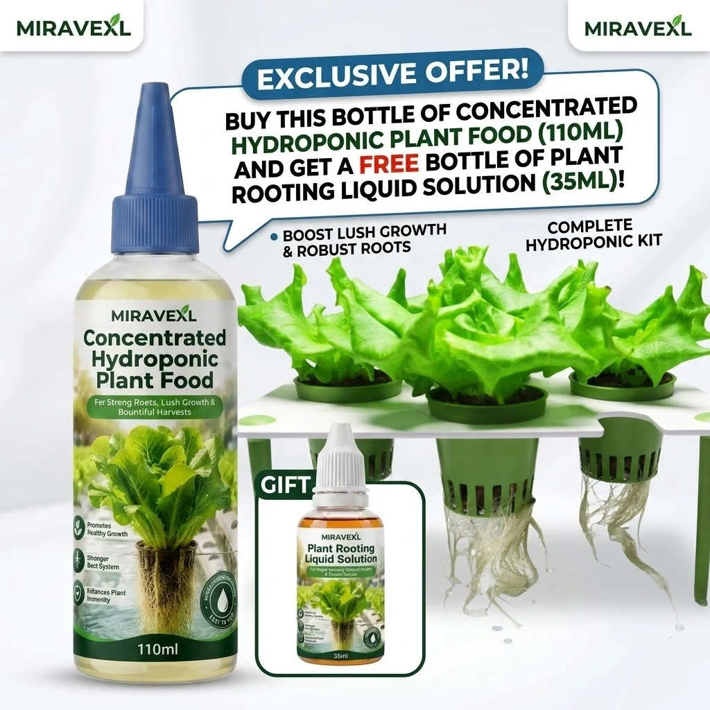 MIRAVEXL Hydroponic Plant Nutrient Set, 110ml Concentrated Plant Food with 35ml Seedling Nutrient Supplement for Indoor Plants