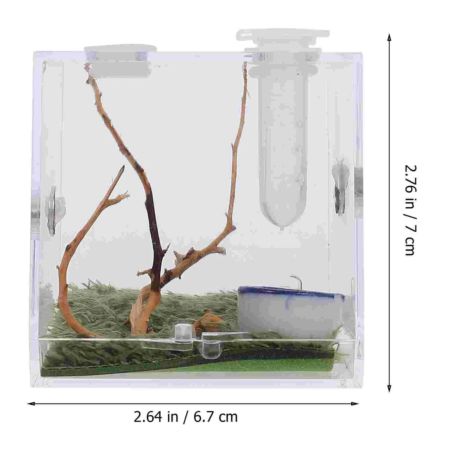 Villcase Glass Containers 2 Set Spider Terrarium Acrylic Reptile Breeding Box Jumping Spider Enclosure Dropper Tongs