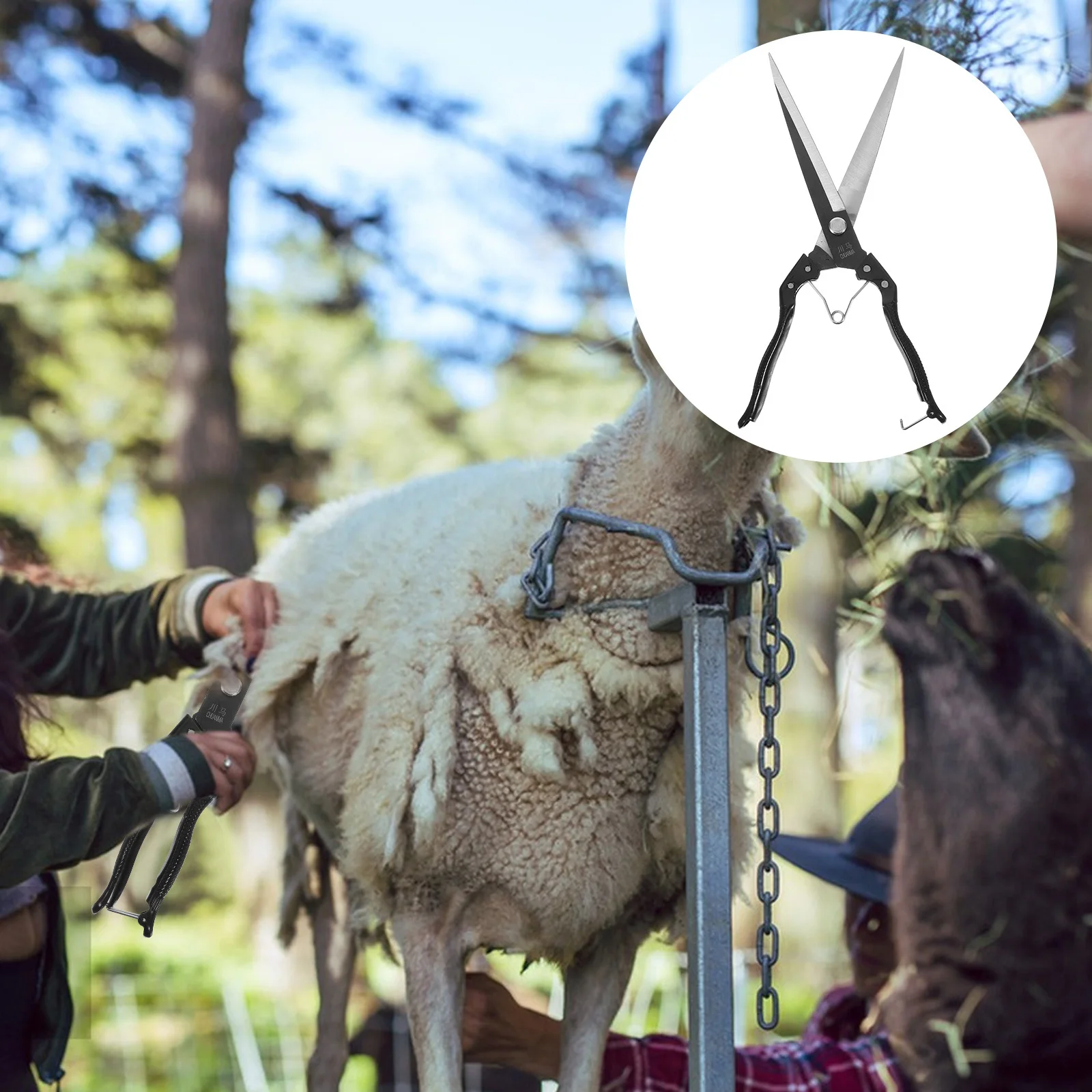 1 ensemble manuel mouton cisaillement tondeuse professionnel couleur élégante rapide efficace grande surface outil de coupe de cheveux mouton cisailles