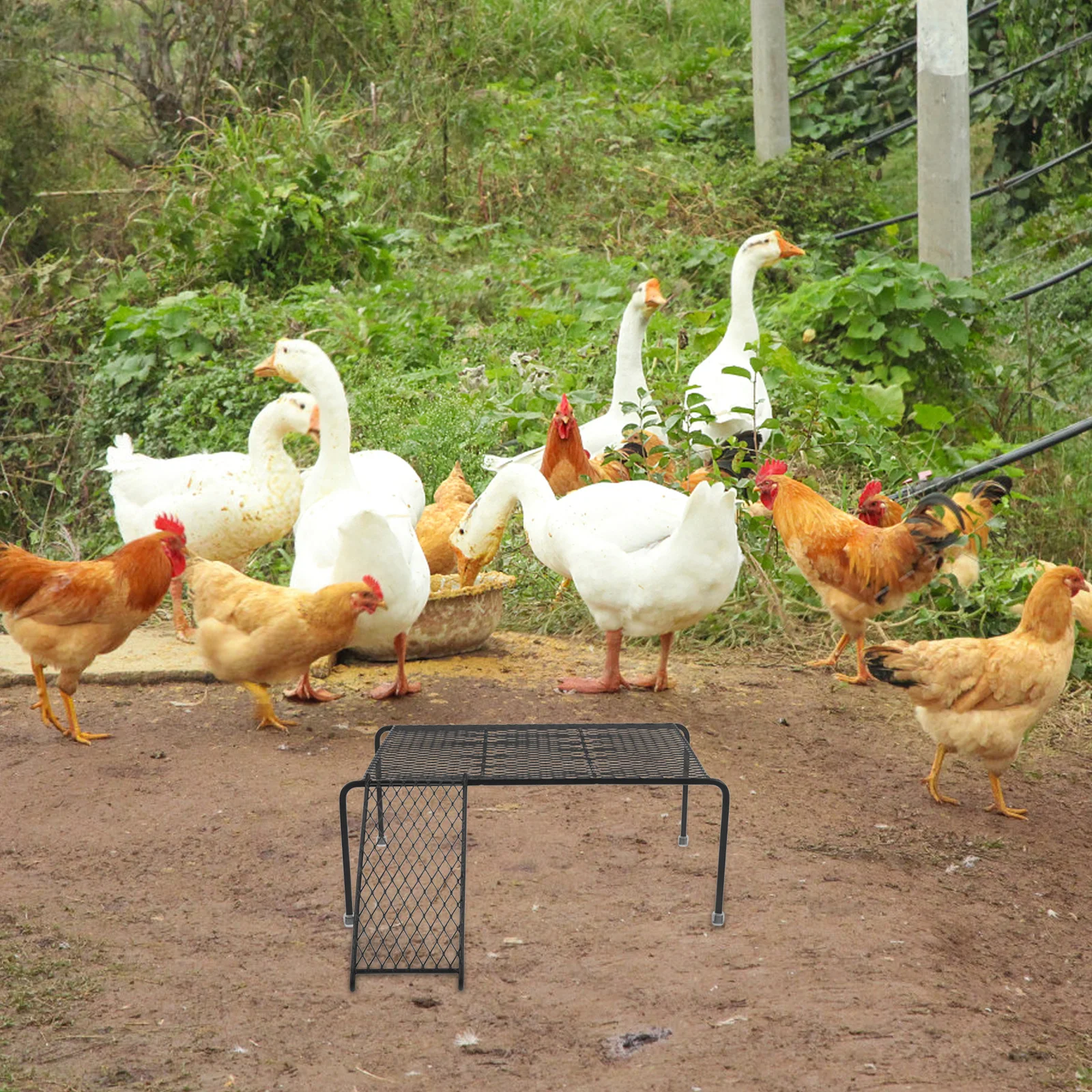 

Chicken Coop Platform Iron Durable Rack Stable Entertainment Exercise Holder Hollow-Out Farmhouse Supply Chicken Coop Platform