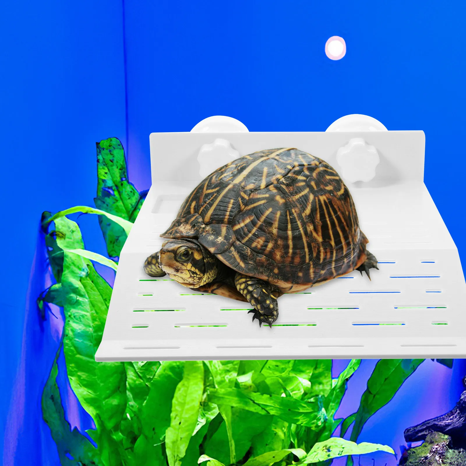 Plastic Turtle Platform Large Climbing Slope Sun Stand Dry Wet Tank Turtle Habitat Climb Rest Platform for Reptiles Aquarium