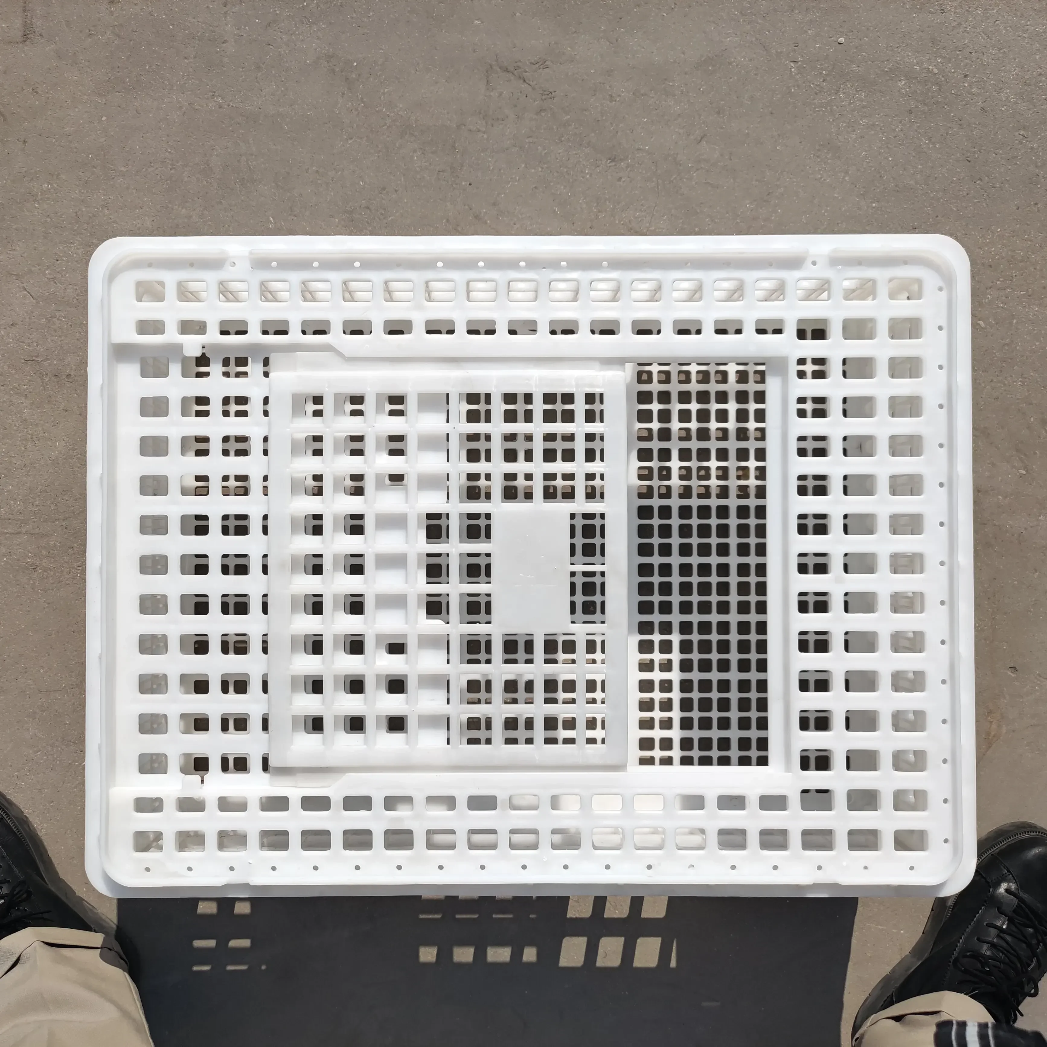 Custom New Live Plastic Chicken Transport Crates Turnover Transport Boxes For Poultry 1-Year Warranty Chickens Cage