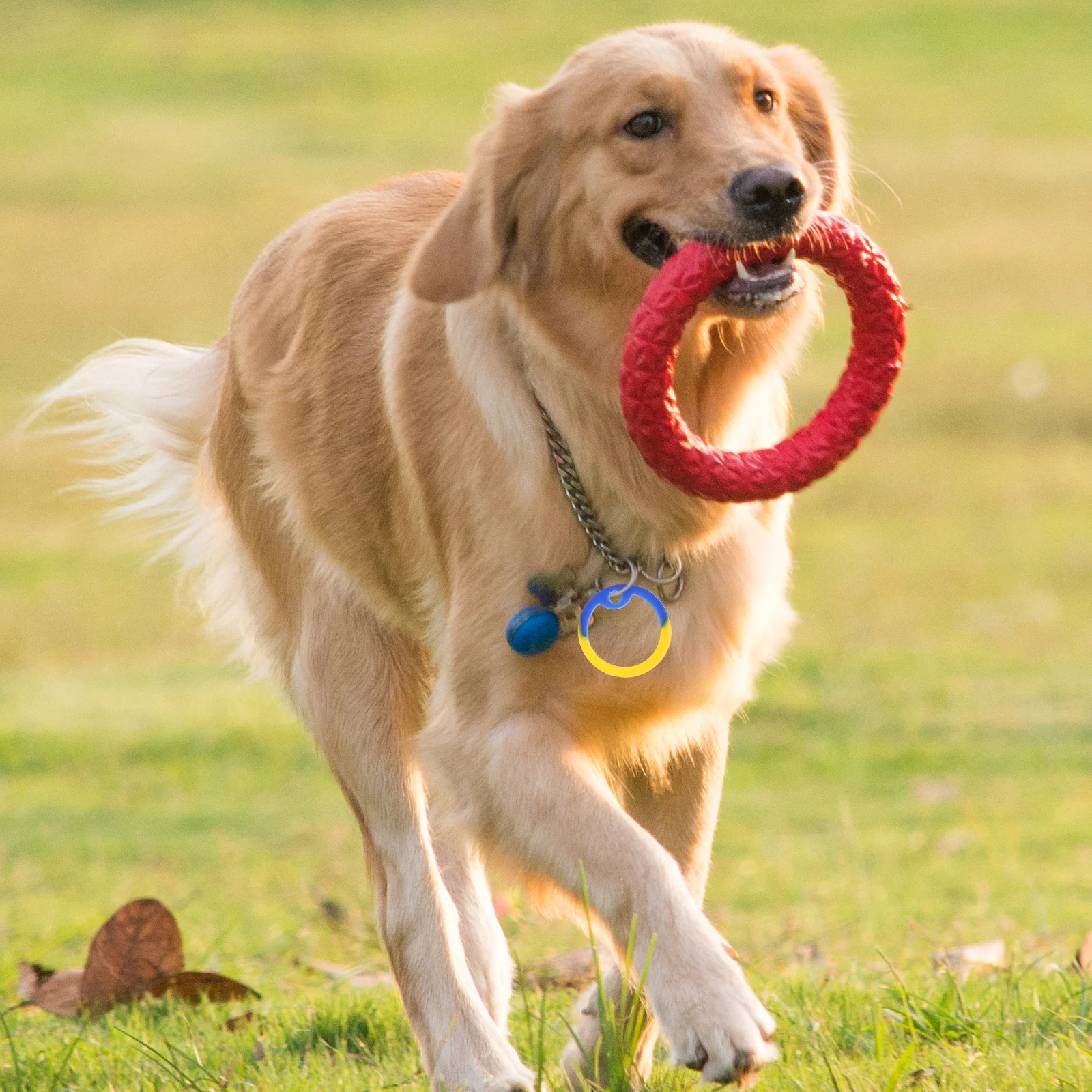 

12pcs Pet Dog Name Tag Noise Ring for Quiet Durable Dog Tag Protector Wear Resistant Design