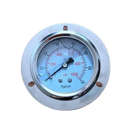 Seismic Pressure Gauge Hydraulic Gauge 7 Trillion Par Pressure Gauge Back Thread ZG1/4 Axial Band Edge