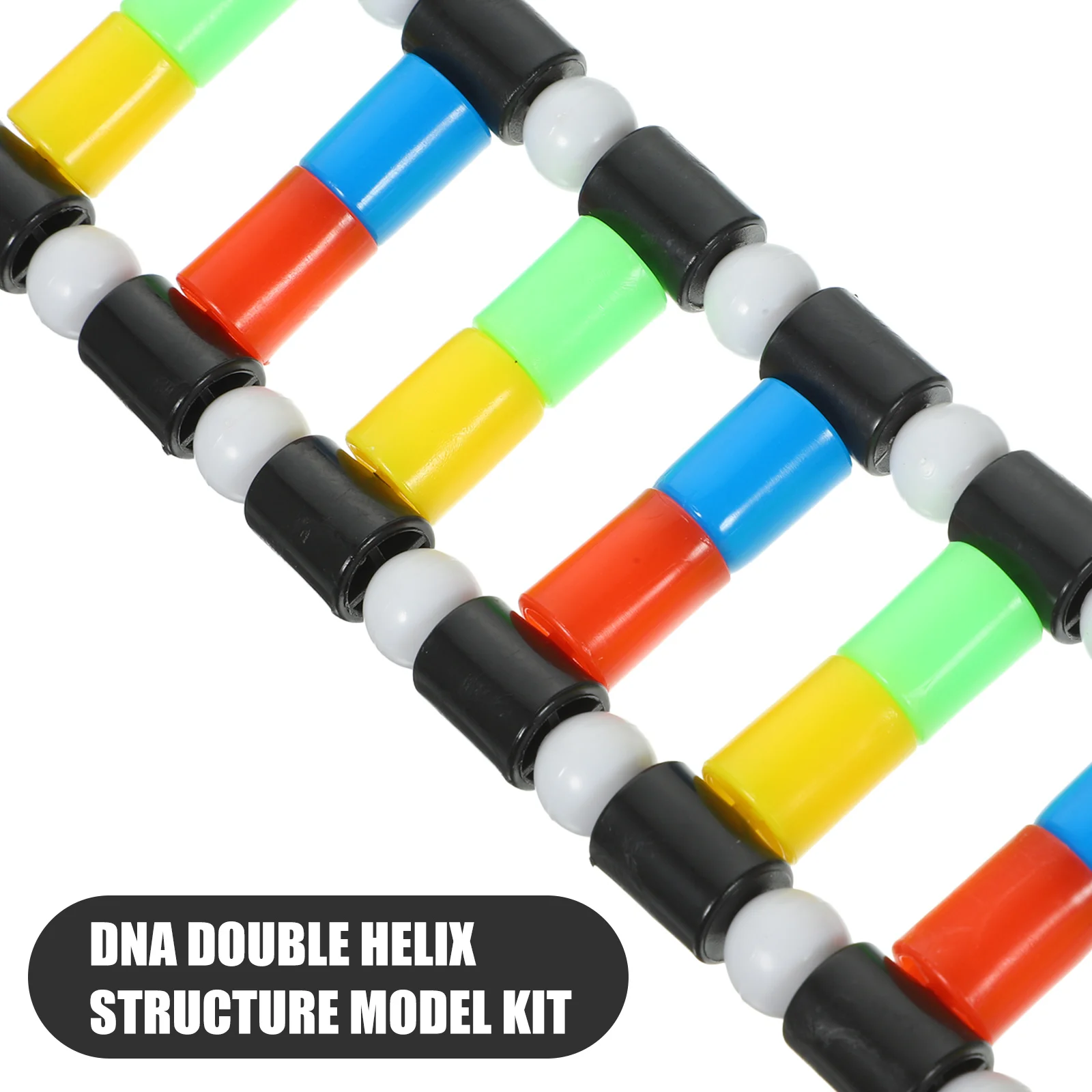 Double Helix Model Dna Structure Architecture Kits 3d Teaching Aids Animal Parent-child