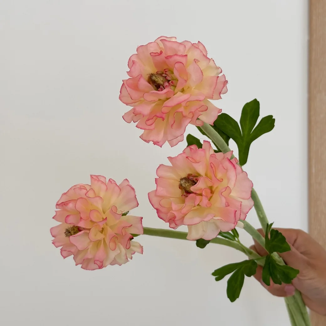 

10pcs/lot Artificial Peony Silk Flower for Home Decoration Fake Dew Lotus Bridal Bouquet Wedding Table Decor Floral Arrangement