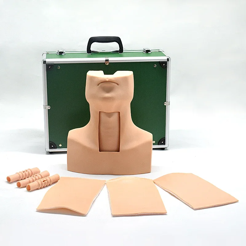 Medical Training Manikin Medical Care Education Chest Puncture Simulator Model