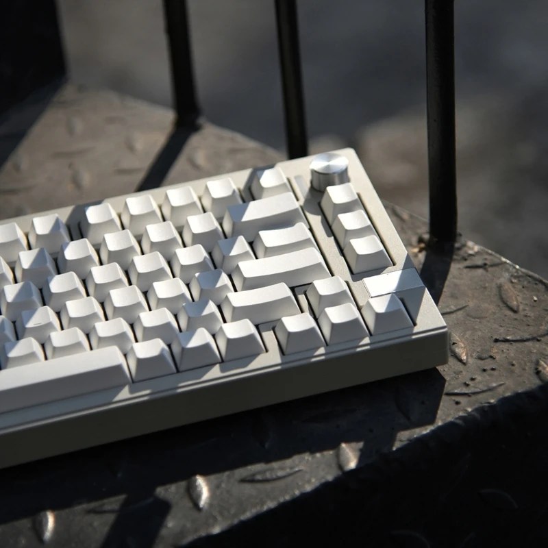 CherryProfile Blanko-Tastenkappen, dickes PBT DyeSub für 137 Tasten mechanische Tastatur, minimalistisches weißes