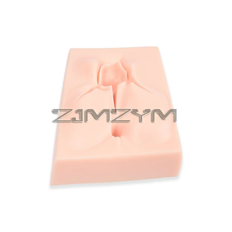 

Medical Silicone Perineum Training Suture Model Wound Vulva Module Surgical Practice Kit