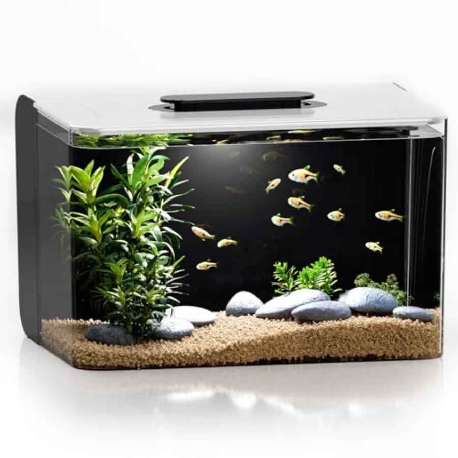 

Betta Fish Tank 2.5 Gallon Aquarium Kit with Filter Light Self Cleaning Oxygenation Small All in One Starter Fish Tank for Gold