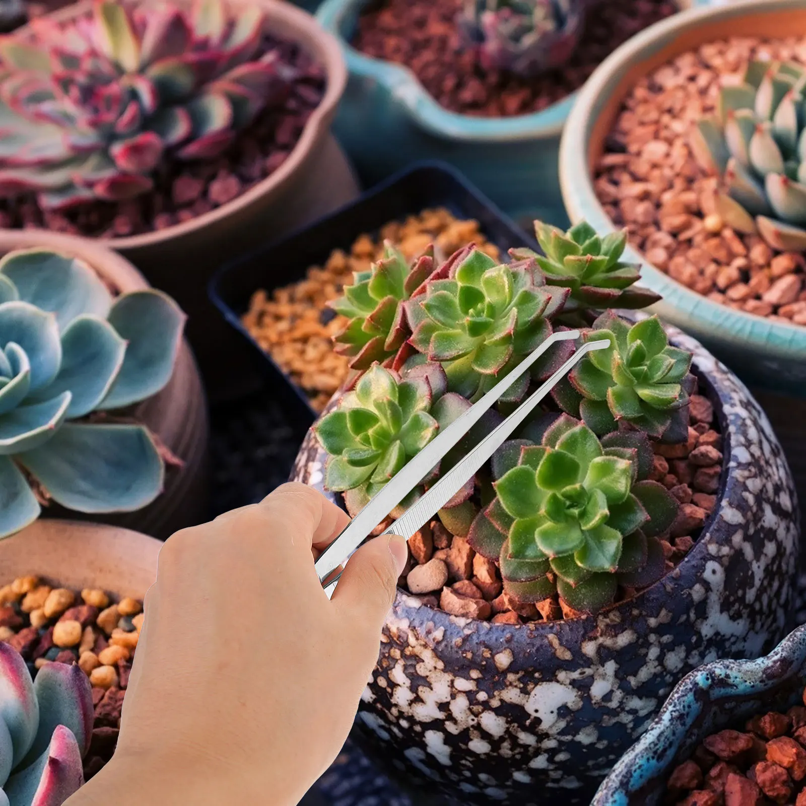 

4pcs Stainless Stainless Steel Tweezers Long Handle Thicken Rubber Tips Gardening Succulent Shovel Tweezers Spade Tools